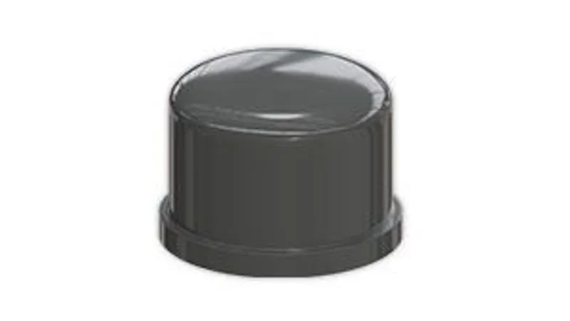 PIP-007-G ASD END CAP 25MM