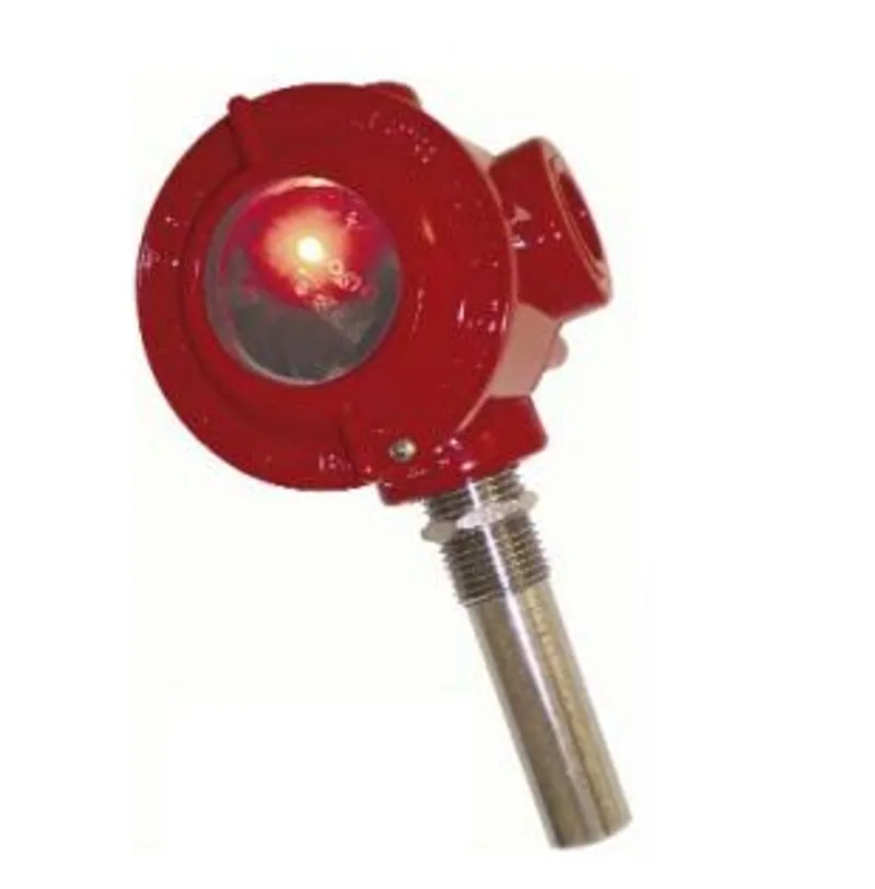 TMP2-TO-A257R1A Explosion Proof Probe