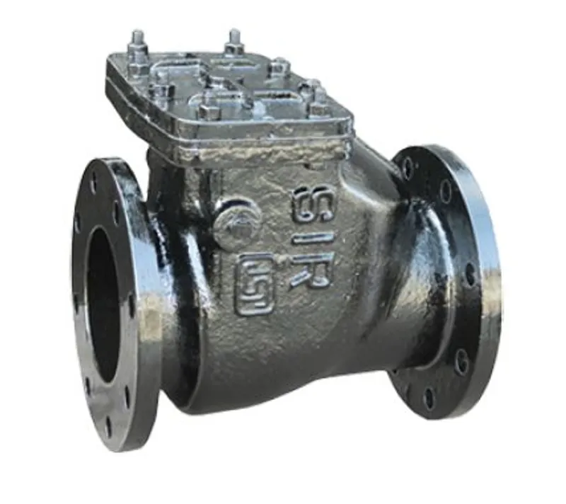 V4-CHS-GP16-G400 Check Valve, Manual Valve