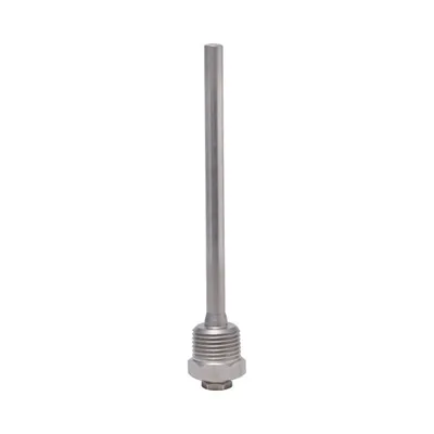 WB150 Immersion &amp; Duct Sensor