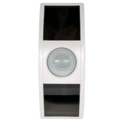 WDWS2-EN3 RIB Wireless Devices