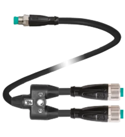 Y connection cable V11-G-0,6M-PUR-U-T-0,6M-V31-GM