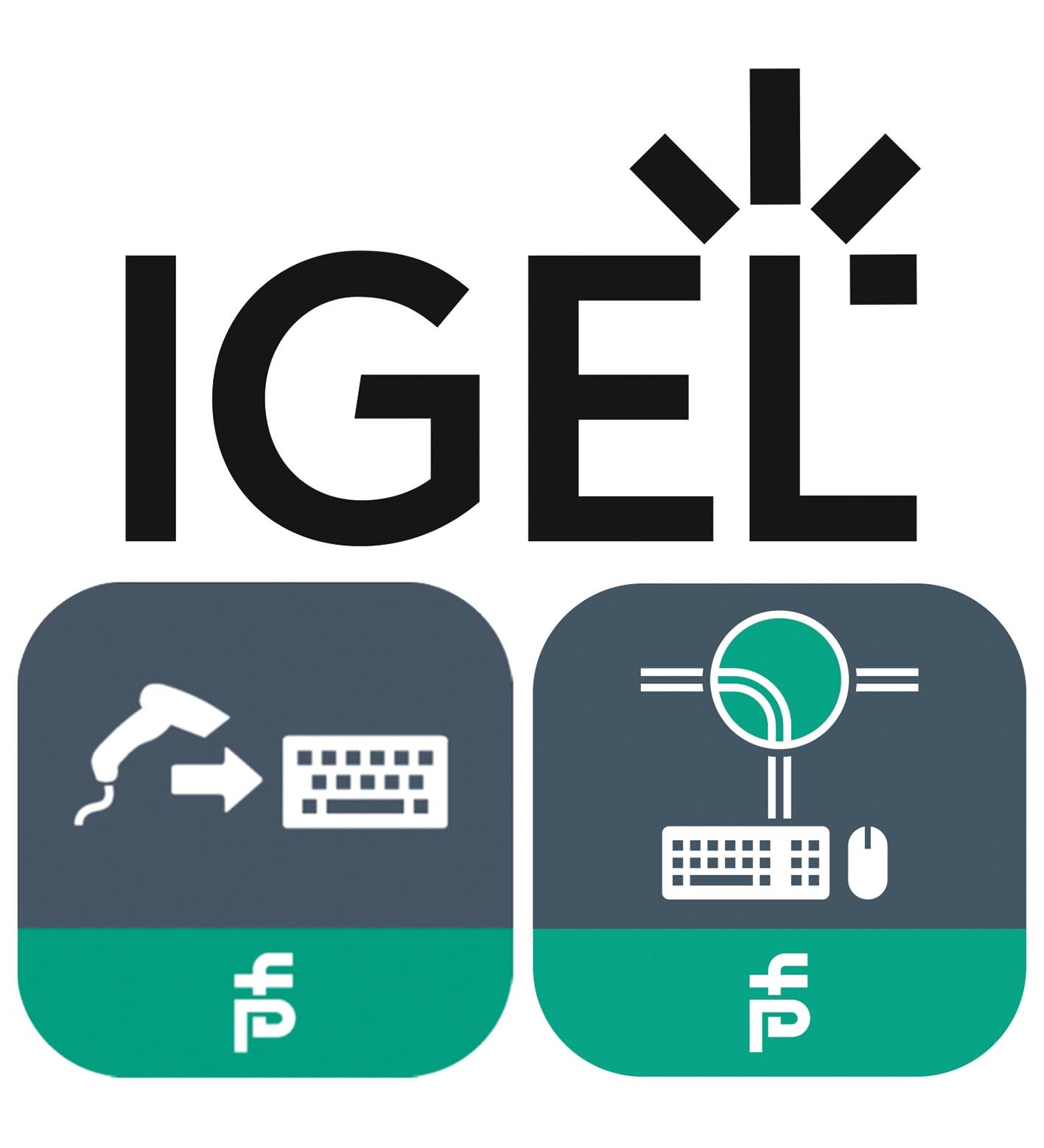 Pepperl Fuchs Apps for IGEL – Software — photo 2 of 2