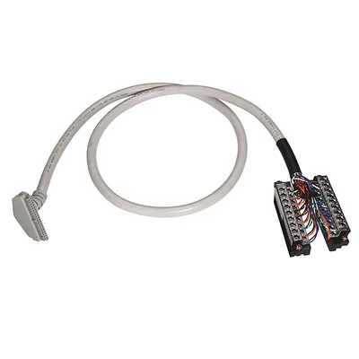 Rockwell Automation / Allen-Bradley 1492-CAB010A62