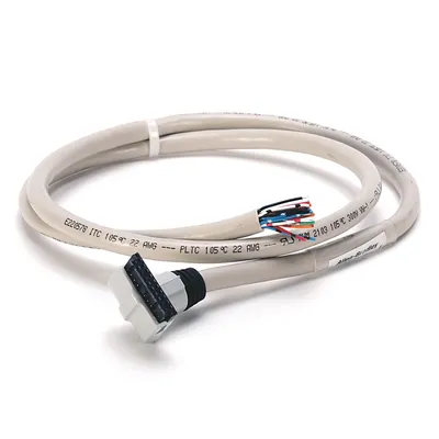 Rockwell Automation / Allen-Bradley 1492-CABLE010P