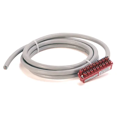 Rockwell Automation / Allen-Bradley 1492-CABLE010RTBO