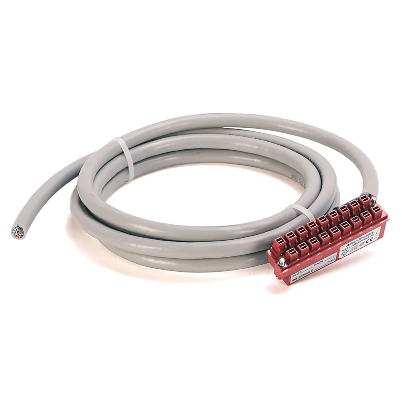 Rockwell Automation / Allen-Bradley 1492-CABLE010RTBR — photo 1 of 2