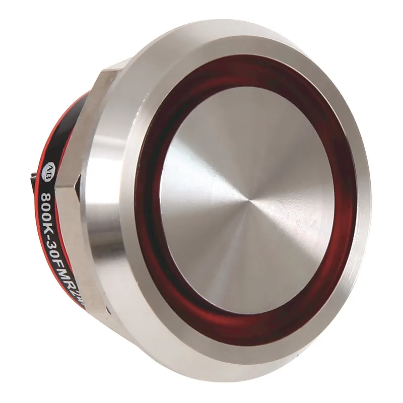Rockwell Automation / Allen-Bradley 800K-30FMR24X01E100H – 30.5mm Piezo Push Button