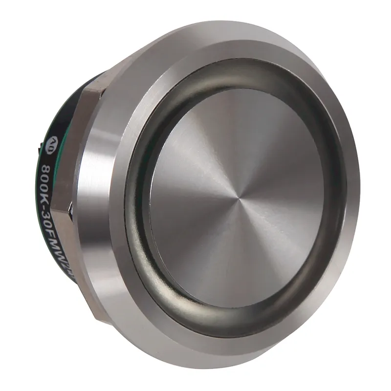 Rockwell Automation / Allen-Bradley 800K-30FMW24X10E100J – 30.5 mm Piezo Push Button