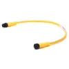 Rockwell Automation / Allen-Bradley 889D-F5ACDM-0M3 – 889 DC Micro Cable — photo 1 of 2 Rockwell Automation / Allen-Bradley 889D-F5ACDM-0M3 – 889 DC Micro Cable — photo 1 of 2