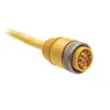 Rockwell Automation / Allen-Bradley 889N-F12ACNU-2 – 889 Mini Cable — photo 1 of 2 Rockwell Automation / Allen-Bradley 889N-F12ACNU-2 – 889 Mini Cable — photo 1 of 2