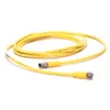 Rockwell Automation / Allen-Bradley 889P-F3ABPM-10 – 889 Pico Cable — photo 1 of 2 Rockwell Automation / Allen-Bradley 889P-F3ABPM-10 – 889 Pico Cable — photo 1 of 2