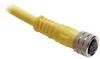 Rockwell Automation / Allen-Bradley 889P-F3ABPM-4 – 889 Pico Cable — photo 2 of 2