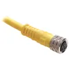 Rockwell Automation / Allen-Bradley 889P-F3DC-H – Pico Cable — photo 1 of 2 Rockwell Automation / Allen-Bradley 889P-F3DC-H – Pico Cable — photo 1 of 2