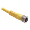 Rockwell Automation / Allen-Bradley 889P-F4ABDM-5 – 889 Pico Cable — photo 1 of 2 Rockwell Automation / Allen-Bradley 889P-F4ABDM-5 – 889 Pico Cable — photo 1 of 2
