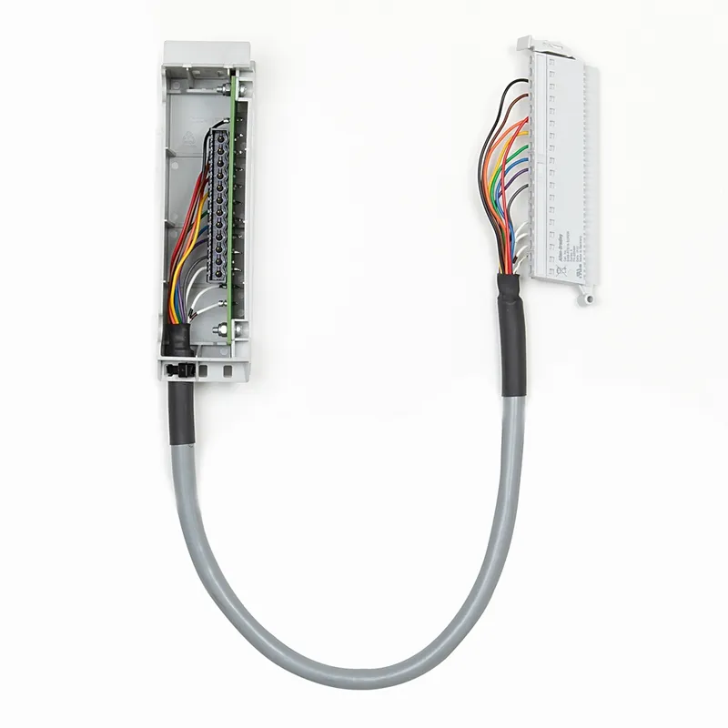 1492-CM1746-M06 Conversion Module