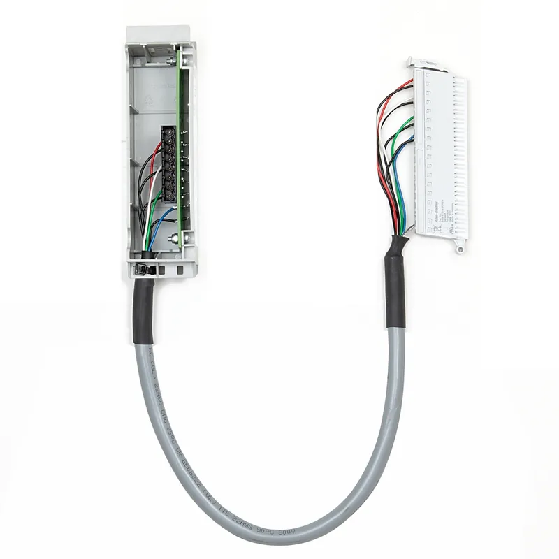 1492-CM1746-M10 Conversion Module