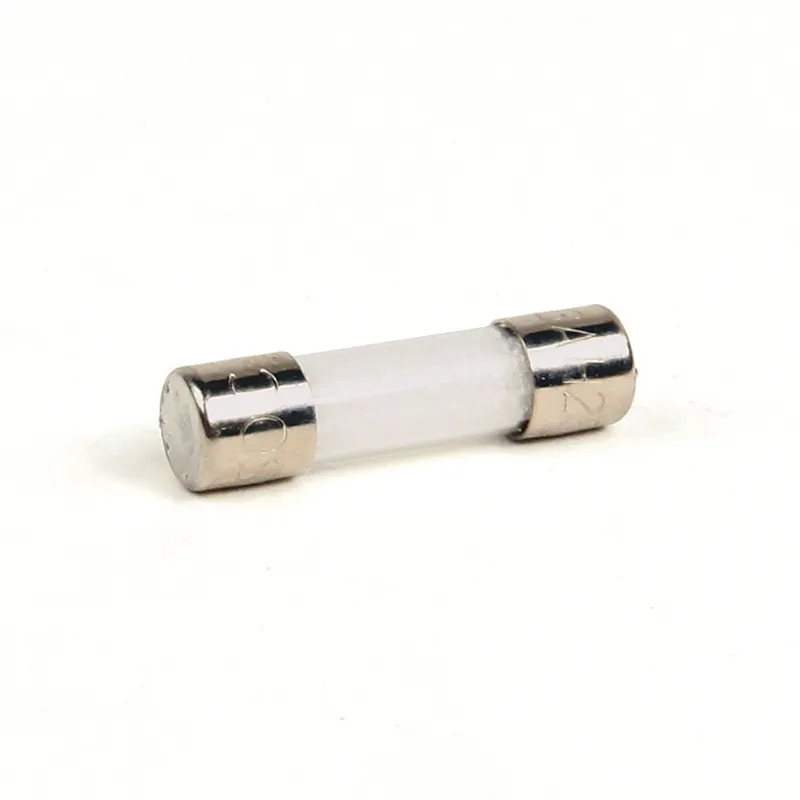 1746-F9 SLC Replacement Fuse