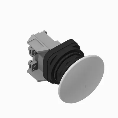 800H-DR5JD1 30mm Momentary Push Button 800H PB