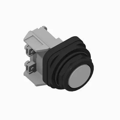 800H-GR5D1 30mm Momentary Push Button 800H PB