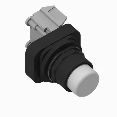 800H-QRB24WX 30mm Momentary Push Button 800H PB