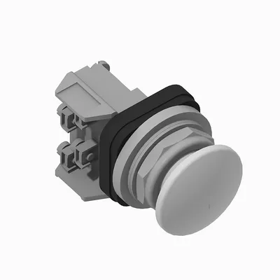 800T-D5A4 30mm Momentary Push Button 800T PB