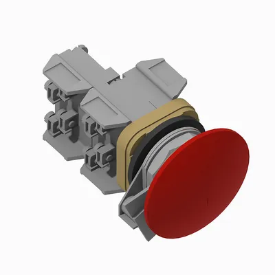 800T-D6LQH 30mm Momentary Push Button 800T PB