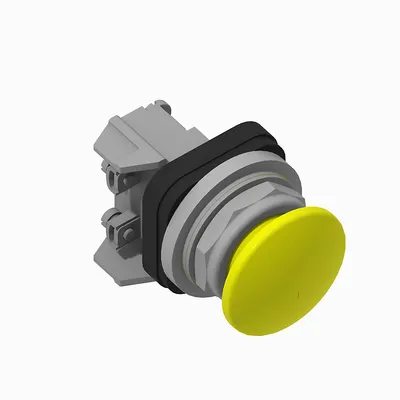 800T-D9D5 30mm Momentary Push Button 800T PB