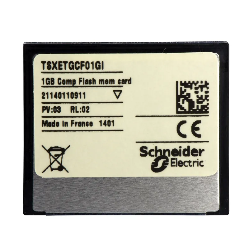 Compact Flash memory card - for processor - 1GB