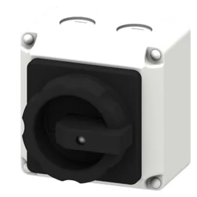 Siemens 3LD9206-5A – Switching device, 2-pole, 16 A, molded-plastic encapsulation with Actuating lever