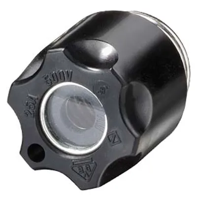 Siemens 5SH1221 – DIAZED screw cap DII 25 A 500 V AC/DC insulating material with inspection hole