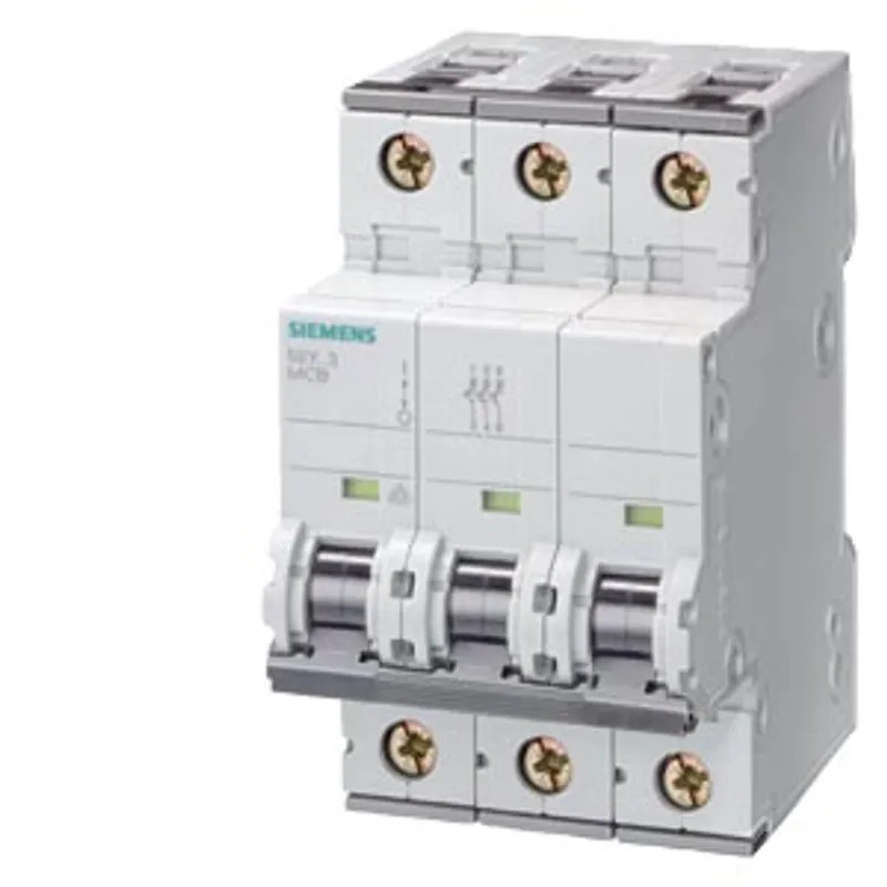 Siemens 5SY7310-8 — photo 1 of 5