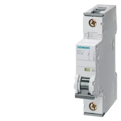 Siemens 5SY8101-8