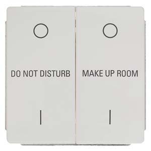 Siemens 5TD2863 – DELTA style, titanium white Device insert 2F Mechanically interlocked Rocker switch with English inscription — photo 1 of 2