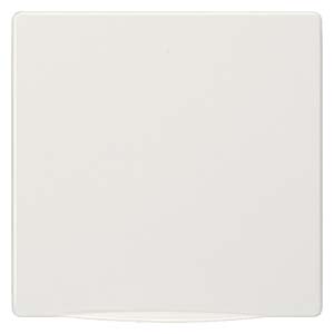 Siemens 5TG1340 – DELTA style, titanium white cover plate 68 x 68 mm with spring flap, for modification of SCHUKO socket outlets — photo 1 of 2