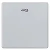 Siemens 5TG6248 – DELTA i-system aluminum-metallic Rocker switch with door opener symbol for pushbutton, 55x 55 mm — photo 1 of 3