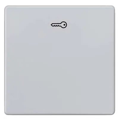 Siemens 5TG6248 – DELTA i-system aluminum-metallic Rocker switch with door opener symbol for pushbutton, 55x 55 mm