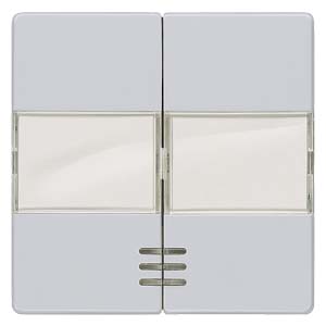 Siemens 5TG6253 – DELTA i-system aluminum-metallic Rocker switch with window — photo 1 of 3