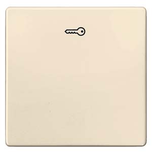 Siemens 5TG6278 – DELTA i-system electrical white Rocker switch with door opener symbol for pushbutton, 55x 55 mm — photo 1 of 3