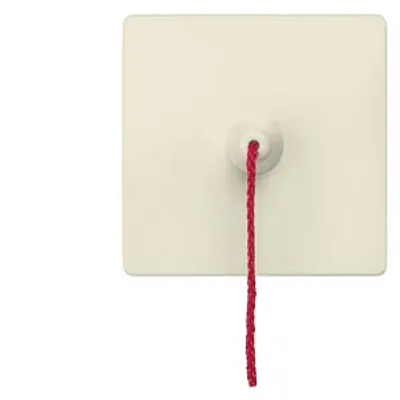 Siemens 5TG6287 – DELTA i-system Rocker switch with pull actuation for pushbutton Electrical white, 55x 55 mm