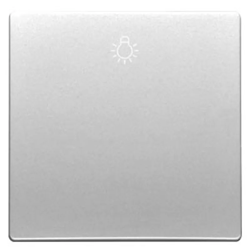 Siemens 5TG7141-0PM20 – DELTA style, platinum metallic Rocker switch with symbol Light for pushbutton, 68x 68 mm — photo 1 of 2