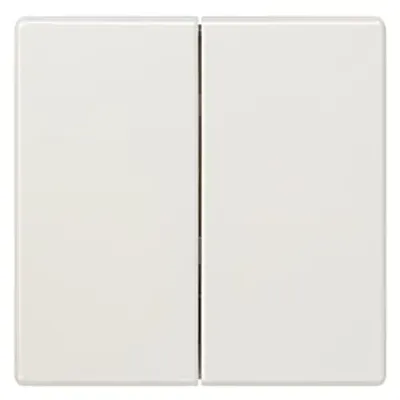 Siemens 5TG7145 – DELTA style, titanium white Rocker switch