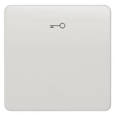 Siemens 5TG7808 – DELTA profil, titanium white Rocker switch with door opener symbol for pushbutton, 65x 65 mm