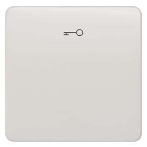 Siemens 5TG7808 – DELTA profil, titanium white Rocker switch with door opener symbol for pushbutton, 65x 65 mm — photo 1 of 3