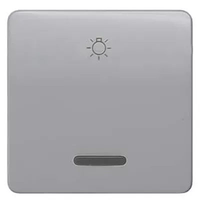 Siemens 5TG7926 – DELTA profil, silver Rocker switch with window with symbol light for pushbutton, 65x 65 mm