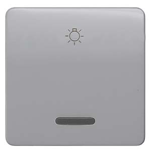 Siemens 5TG7926 – DELTA profil, silver Rocker switch with window with symbol light for pushbutton, 65x 65 mm — photo 1 of 3