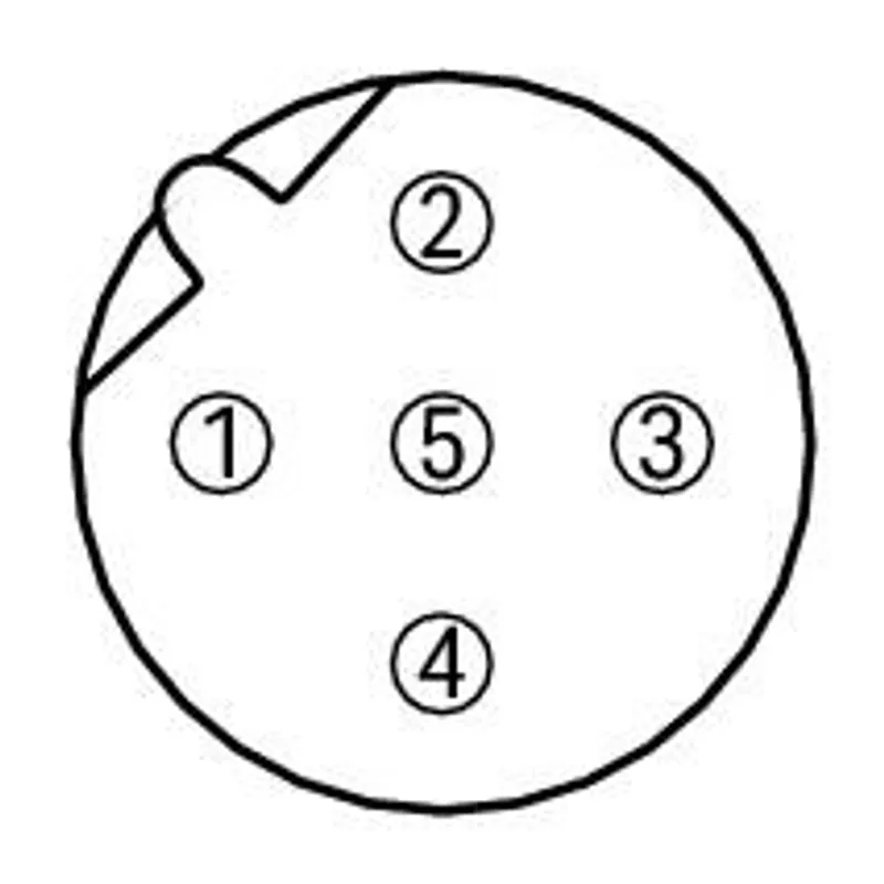 PROFIBUS cable; M12B socket; straight; 5-pole; Length: 2 m — photo 2 of 4
