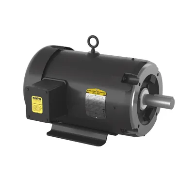 10HP,3490RPM,3PH,60HZ,215TC,3728M,T