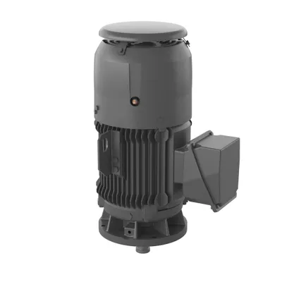 MOTOR,60,3600,LP100,460,364LP