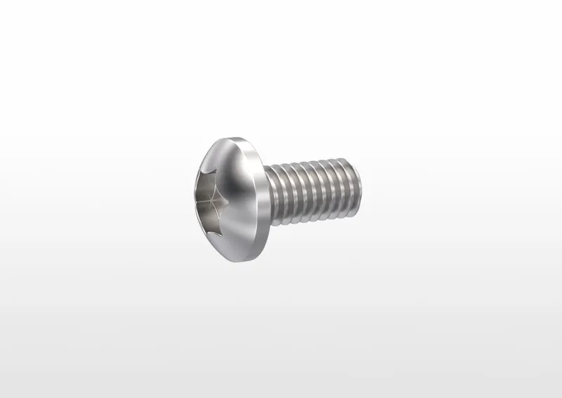 Steel-Fe/Zn 5c M4x8